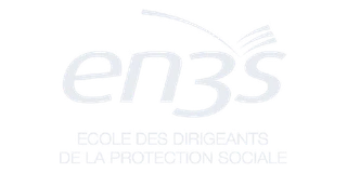 EN3S